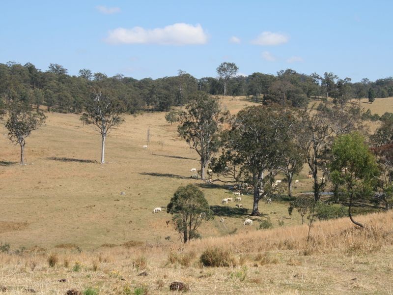 Pinegrove Mt Lindsay Highway, Wylie Creek NSW 2372