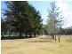 Pinegrove Mt Lindsay Highway, Wylie Creek NSW 2372
