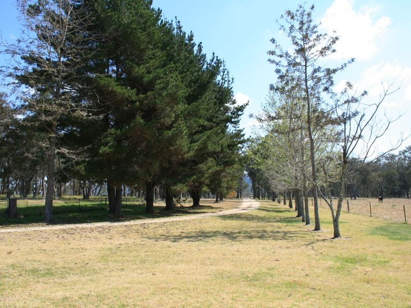 Pinegrove Mt Lindsay Highway, Wylie Creek NSW 2372