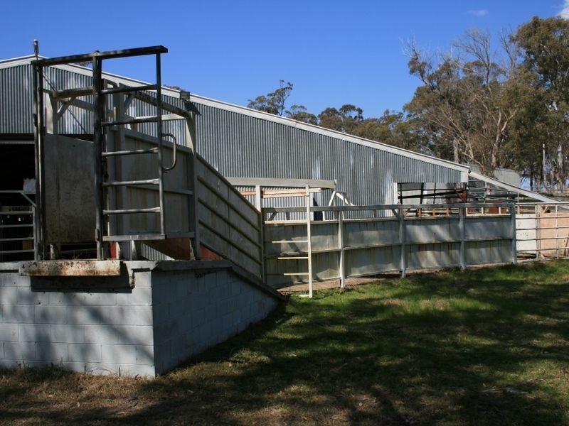 Pinegrove Mt Lindsay Highway, Wylie Creek NSW 2372