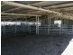 Pinegrove Mt Lindsay Highway, Wylie Creek NSW 2372