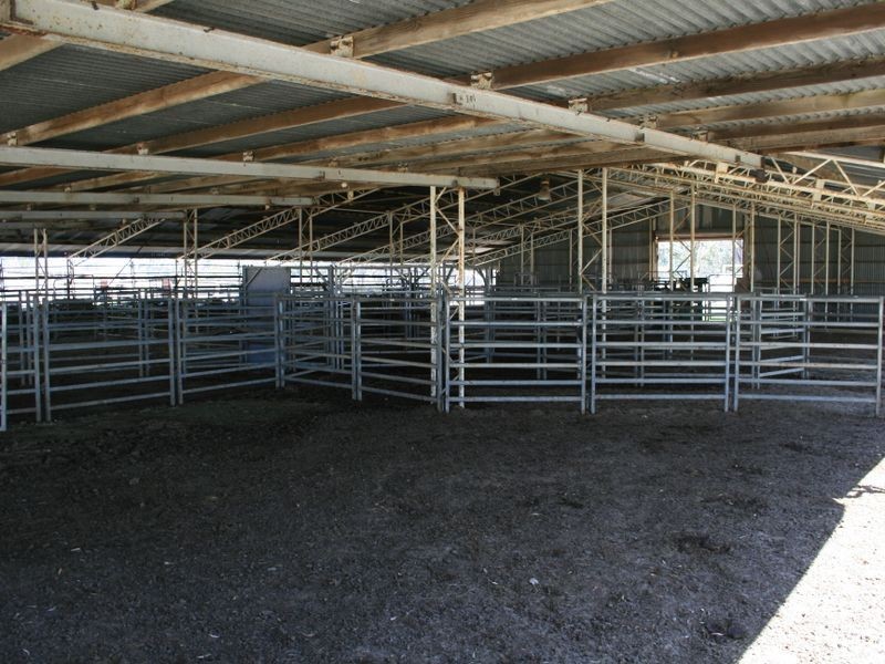 Pinegrove Mt Lindsay Highway, Wylie Creek NSW 2372
