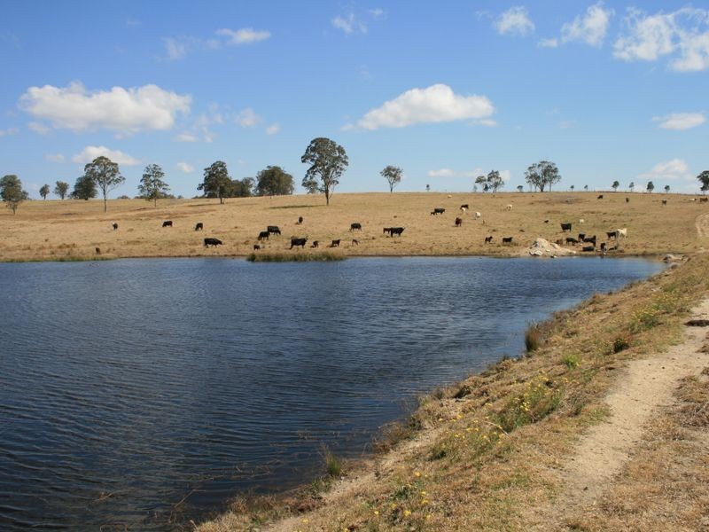 Pinegrove Mt Lindsay Highway, Wylie Creek NSW 2372