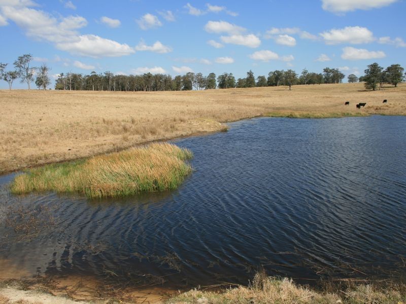 Pinegrove Mt Lindsay Highway, Wylie Creek NSW 2372