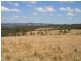 Pinegrove Mt Lindsay Highway, Wylie Creek NSW 2372