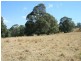 Pinegrove Mt Lindsay Highway, Wylie Creek NSW 2372