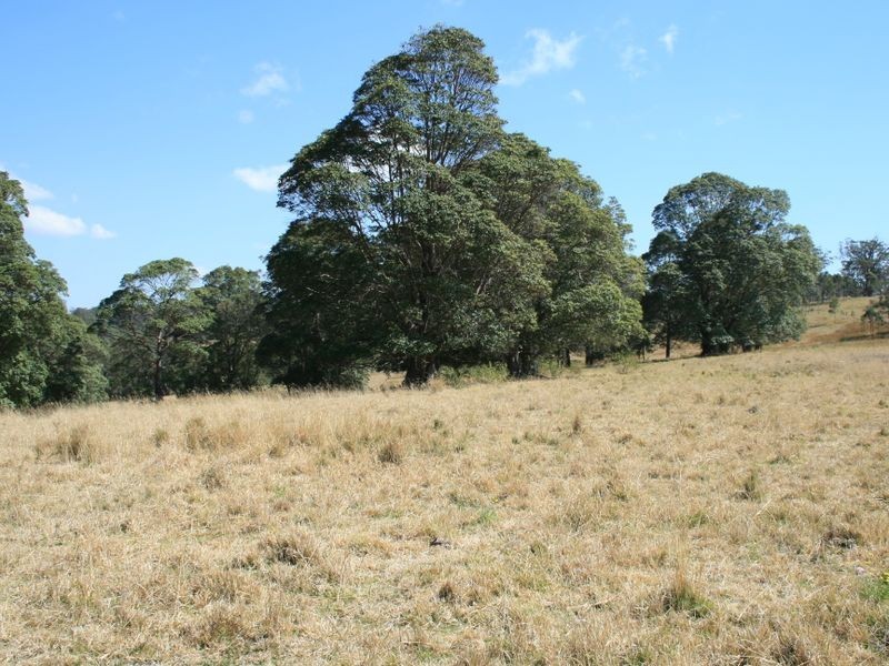 Pinegrove Mt Lindsay Highway, Wylie Creek NSW 2372