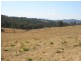 Pinegrove Mt Lindsay Highway, Wylie Creek NSW 2372