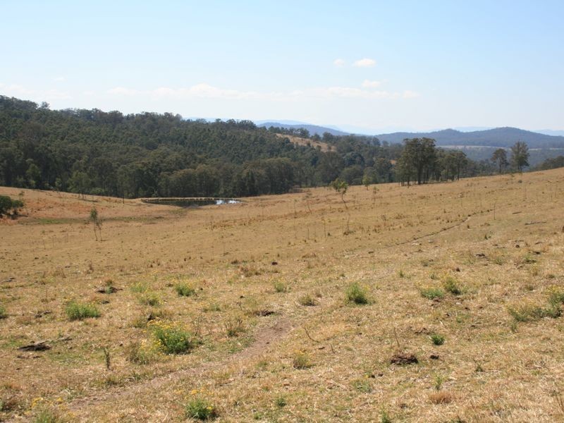 Pinegrove Mt Lindsay Highway, Wylie Creek NSW 2372