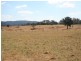 Pinegrove Mt Lindsay Highway, Wylie Creek NSW 2372