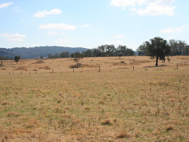 Pinegrove Mt Lindsay Highway, Wylie Creek NSW 2372