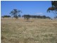 Pinegrove Mt Lindsay Highway, Wylie Creek NSW 2372