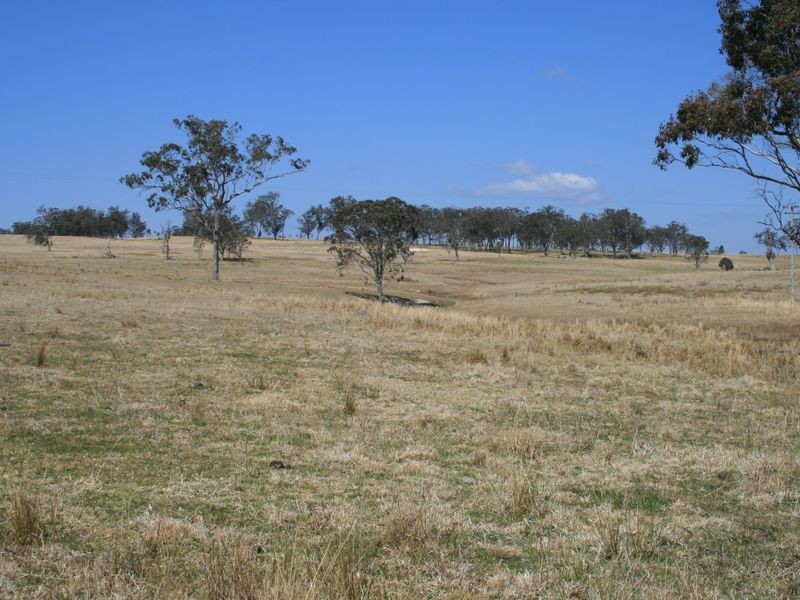 Pinegrove Mt Lindsay Highway, Wylie Creek NSW 2372
