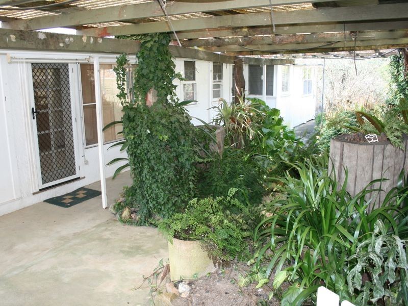 Pinegrove Mt Lindsay Highway, Wylie Creek NSW 2372