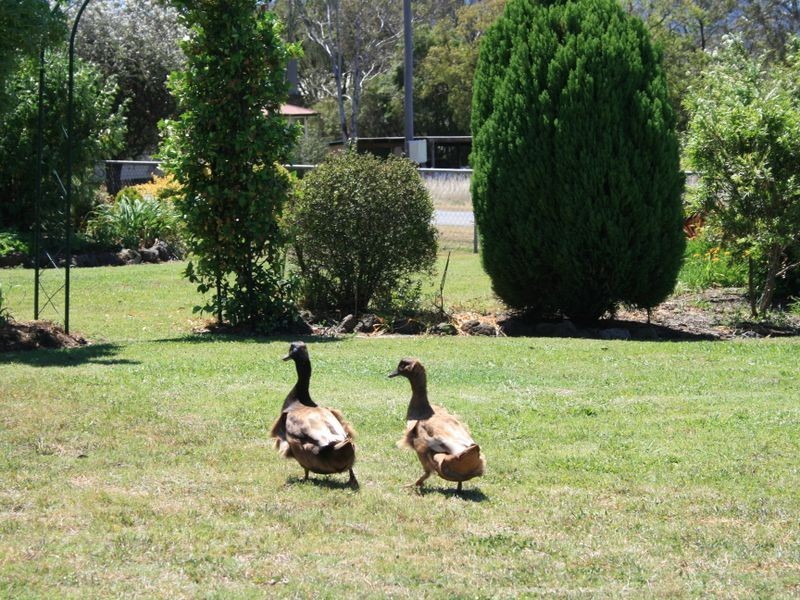 No. 30 Allan Street Maryvale via, Warwick QLD 4370