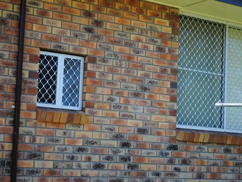 10 Bertram Street, Warwick QLD 4370