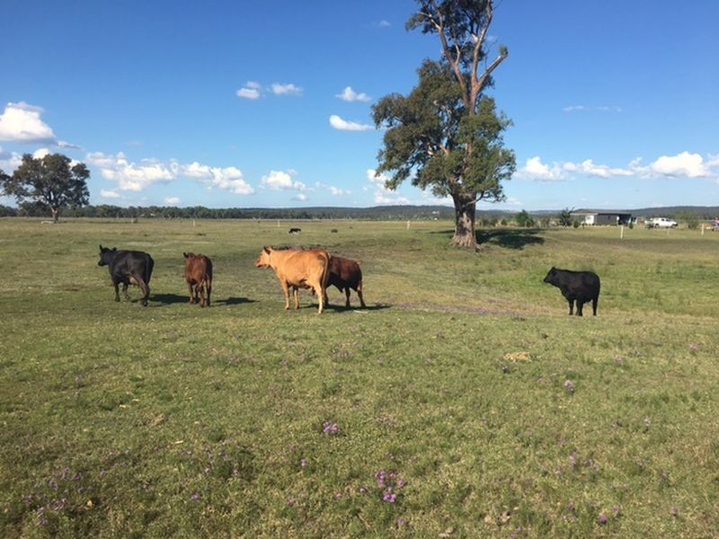 238 Karle Road, Clintonvale QLD 4370