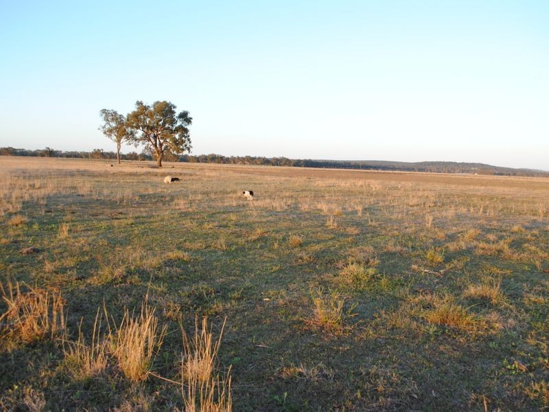 238 Karle Road, Clintonvale QLD 4370