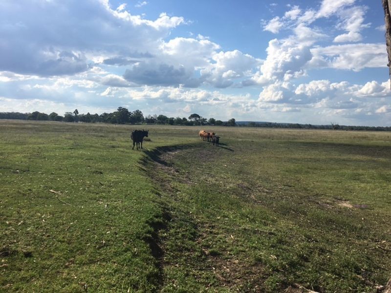 238 Karle Road, Clintonvale QLD 4370