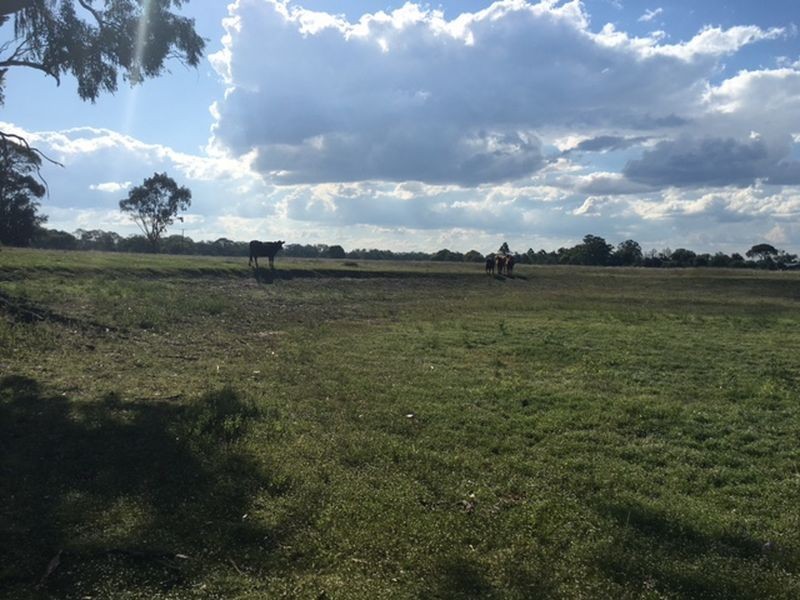 238 Karle Road, Clintonvale QLD 4370