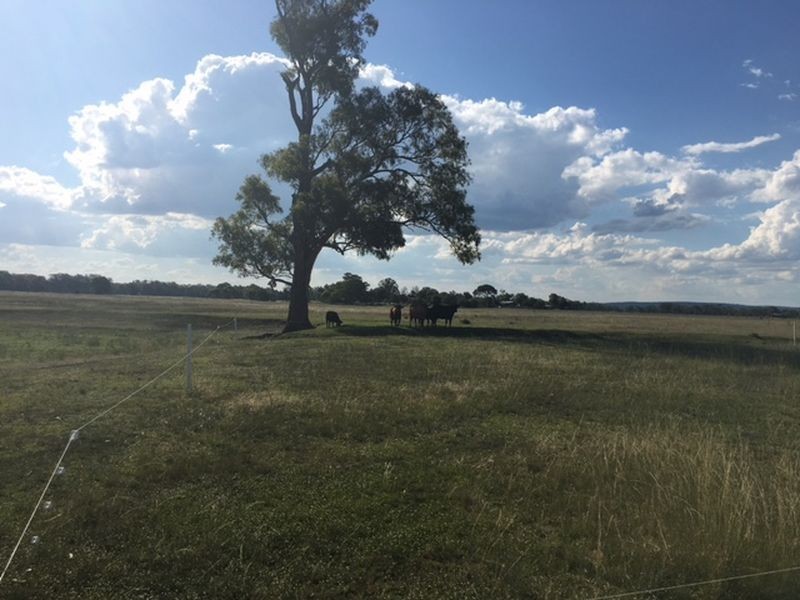 238 Karle Road, Clintonvale QLD 4370