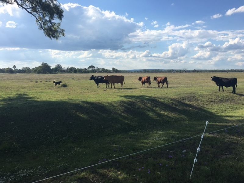 238 Karle Road, Clintonvale QLD 4370