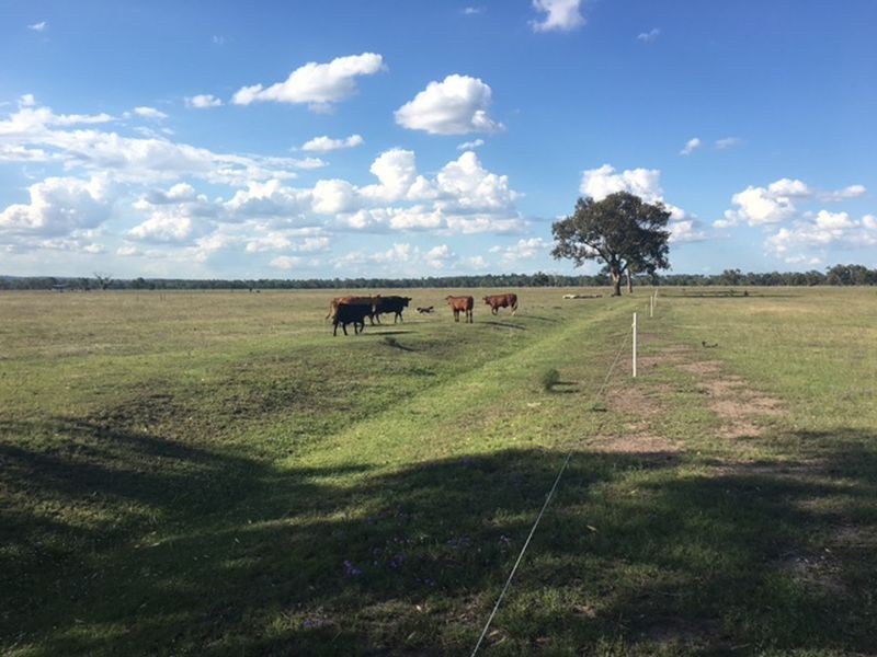 238 Karle Road, Clintonvale QLD 4370