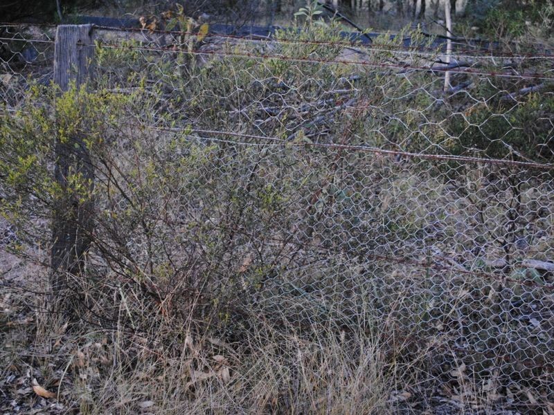 9 x Titles at Warrabah Road, Warwick QLD 4370