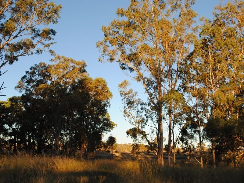 9 x Titles at Warrabah Road, Warwick QLD 4370