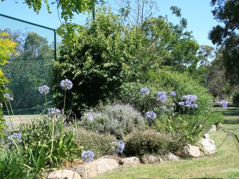 71 Oxenham Street, Warwick QLD 4370