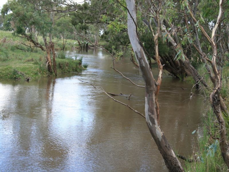 Lot 1 Condamine River Road, Pratten QLD 4370