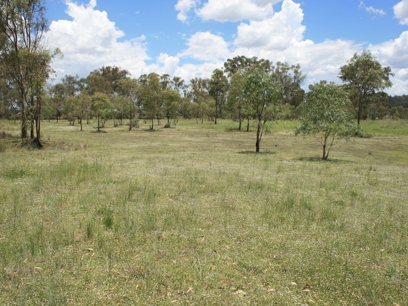 Lot 1 Condamine River Road, Pratten QLD 4370
