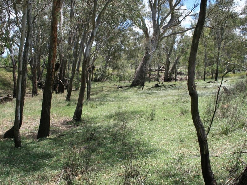 Lot 1 Condamine River Road, Pratten QLD 4370