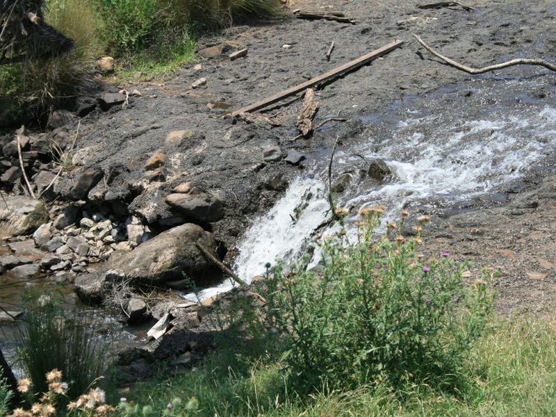 251 Cullendore Road, Clintonvale QLD 4370