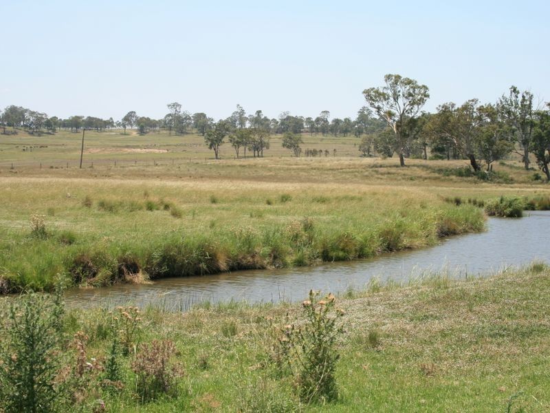 251 Cullendore Road, Clintonvale QLD 4370