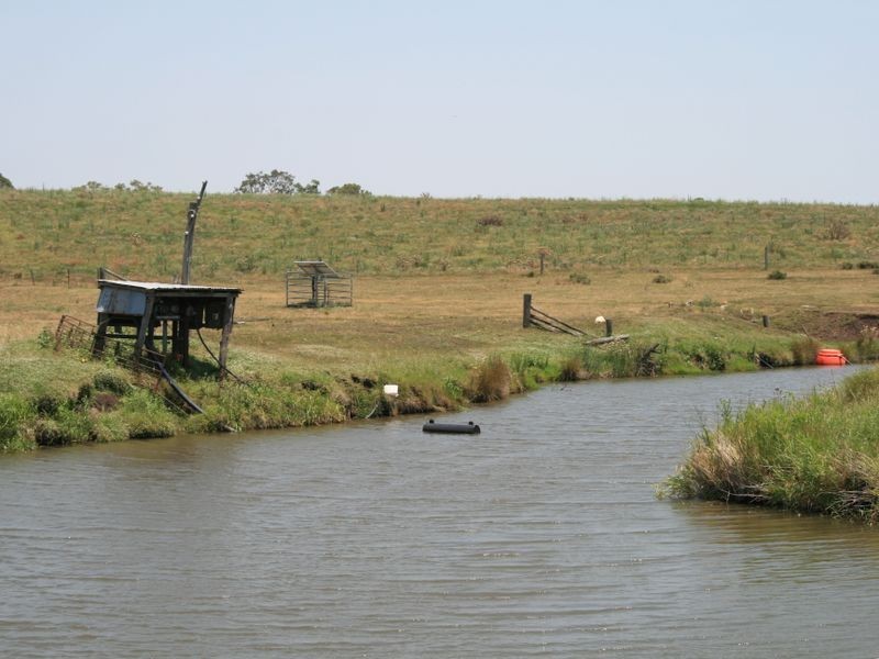 251 Cullendore Road, Clintonvale QLD 4370