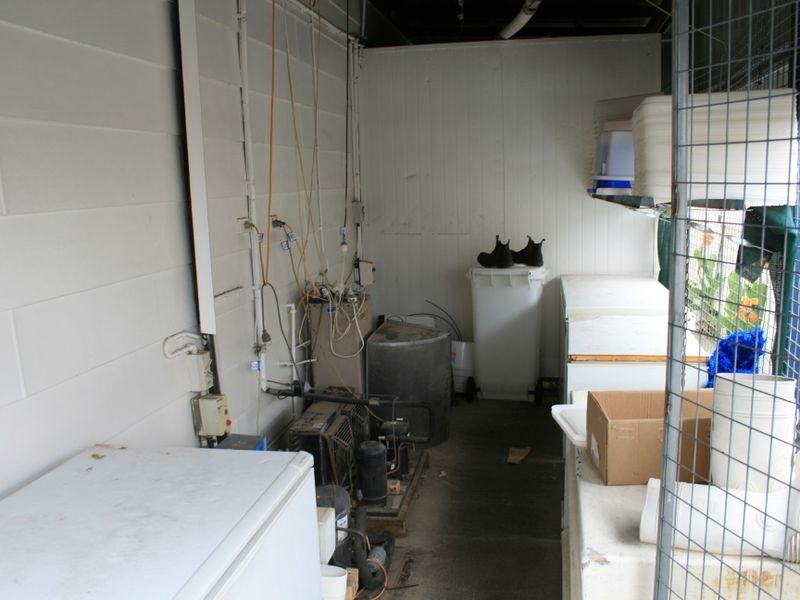 9 Lyons Street, Warwick QLD 4370