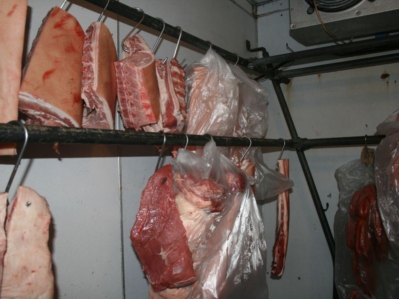 9 Lyons Street, Warwick QLD 4370