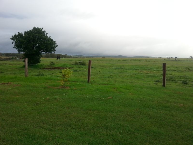 4336 Leyburn Cunningham Road, Clintonvale QLD 4370