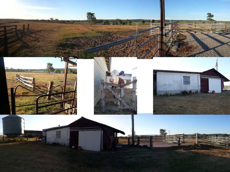 4336 Leyburn Cunningham Road, Clintonvale QLD 4370