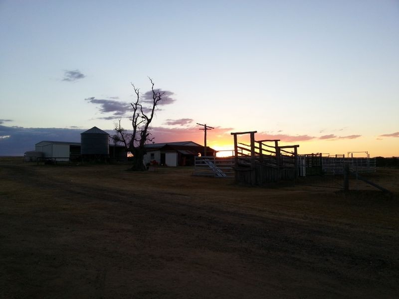 4336 Leyburn Cunningham Road, Clintonvale QLD 4370