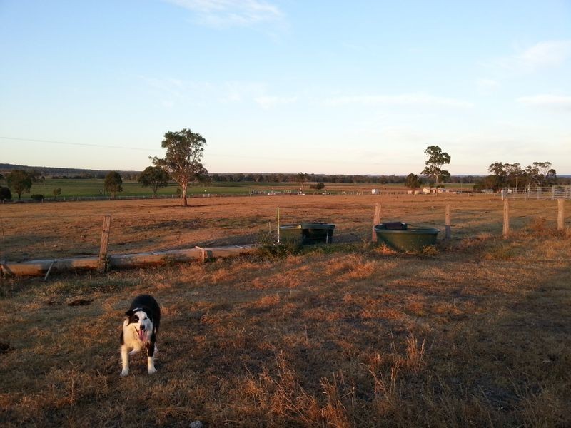 4336 Leyburn Cunningham Road, Clintonvale QLD 4370