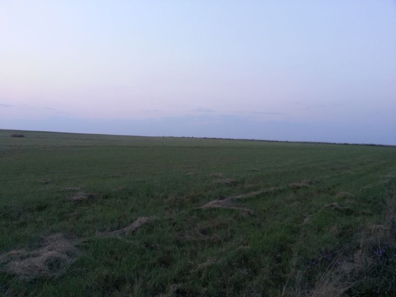 4336 Leyburn Cunningham Road, Clintonvale QLD 4370