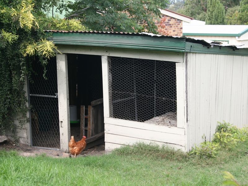 15 Percy Street, Warwick QLD 4370