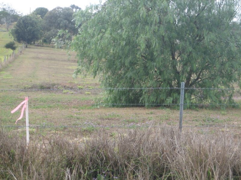 Lot 9 Lyndhurst Lane, Rosenthal Heights QLD 4370
