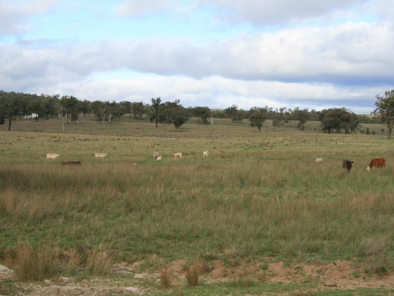Valley Vie Rockdale Road, Karara QLD 4352