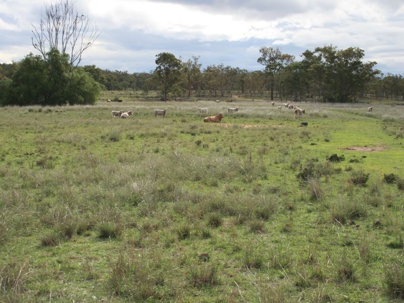 Valley Vie Rockdale Road, Karara QLD 4352