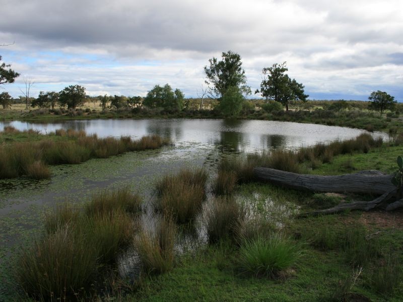Valley Vie Rockdale Road, Karara QLD 4352