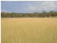 L 4 Mullins Road, Warwick QLD 4370