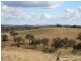 Lot 15 Springdale Road, Stanthorpe QLD 4380